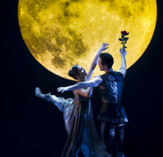 היפה והחיה, מופעי חנוכה 2013, אטרקציות לילדים